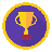 TeamRaiser Achievement Badge