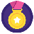 TeamRaiser Achievement Badge